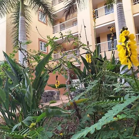 Tropical - Heated Pool Διαμέρισμα Palm-mar