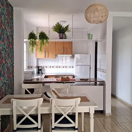 Tropical - Heated Pool 公寓 滨海帕尔姆