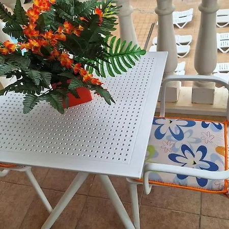 公寓 Tropical - Heated Pool 滨海帕尔姆